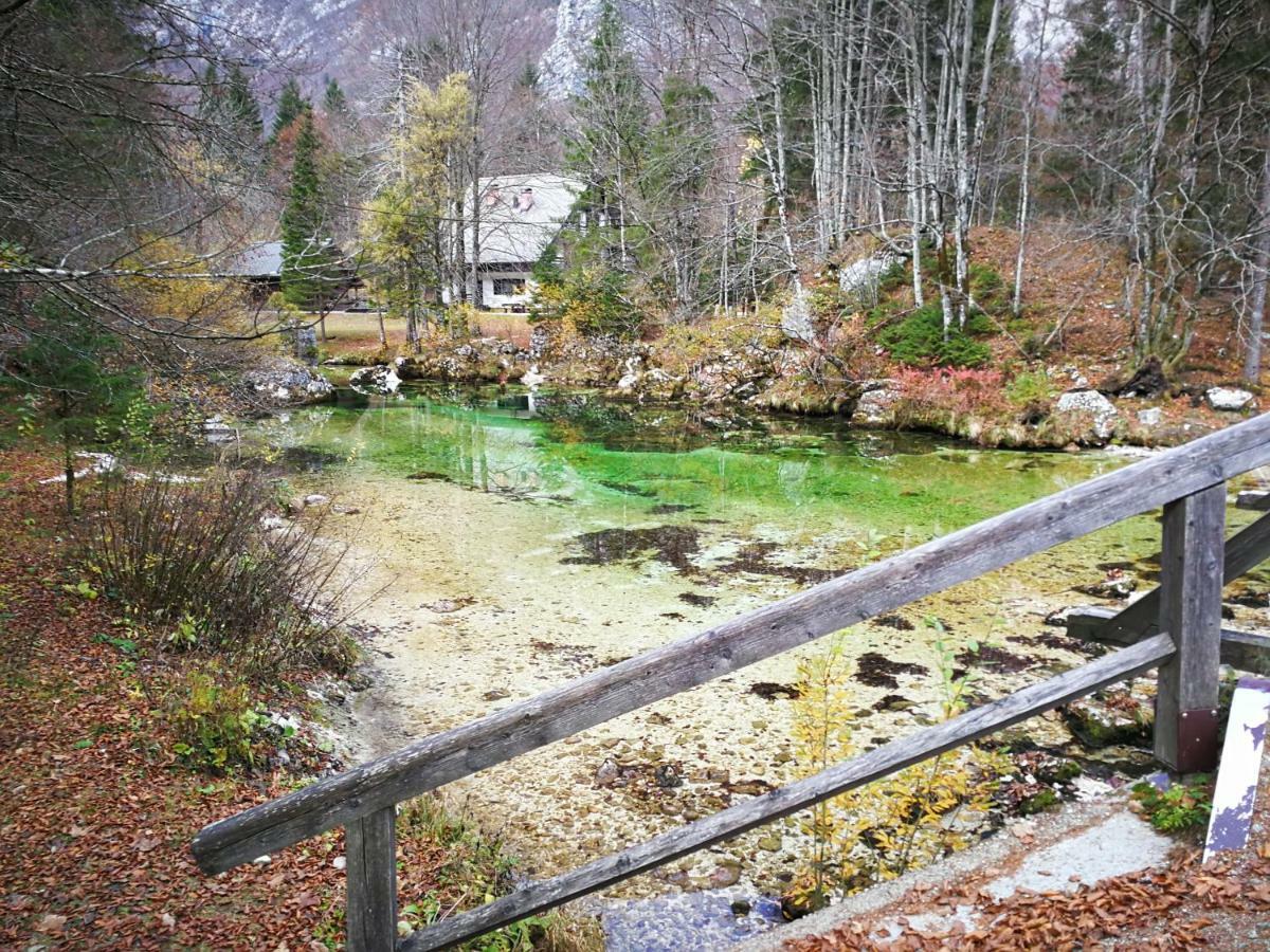 Planika B&M Διαμέρισμα Bohinj Εξωτερικό φωτογραφία